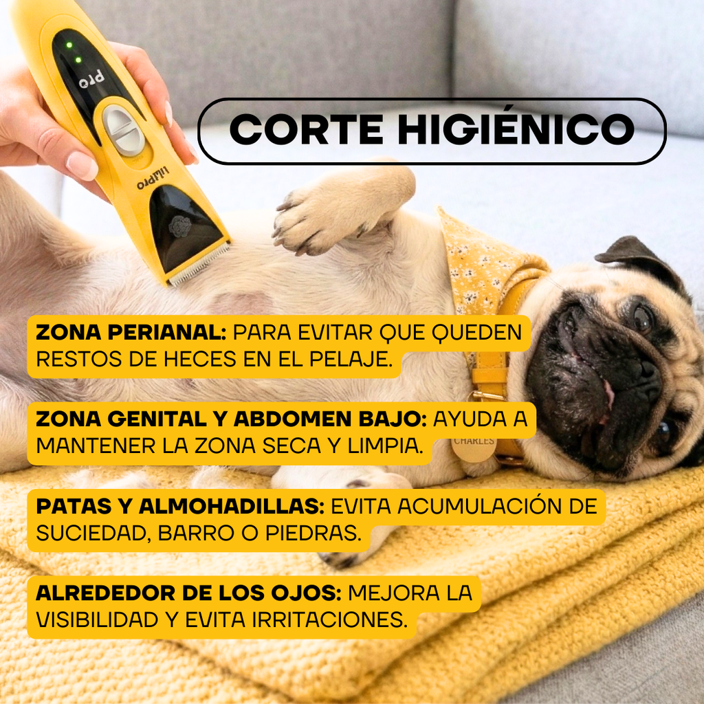 Guía de corte higiénico con la PT305: zona perianal, abdomen, patas y contorno de ojos