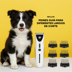 Cachorro border collie junto a la máquina de cortar pelo PT306 y sus peines guía para distintos largos
