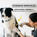 Peluquera canina revisando la pata de un border collie: cuidado de zonas delicadas