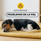 Cachorro descansando: el corte regular ayuda a prevenir problemas en la piel