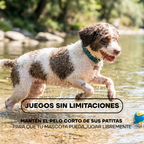 Perro jugando en el agua: pelo corto en las patitas para jugar sin limitaciones