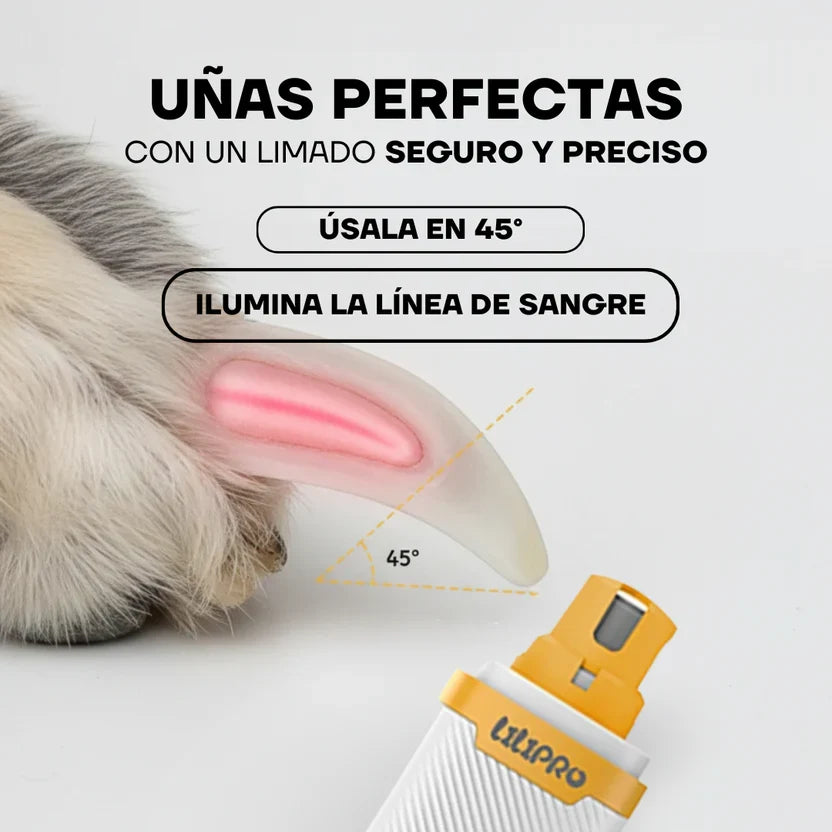 Lima PG100 usada en 45 grados iluminando la línea de sangre de la uña del perro