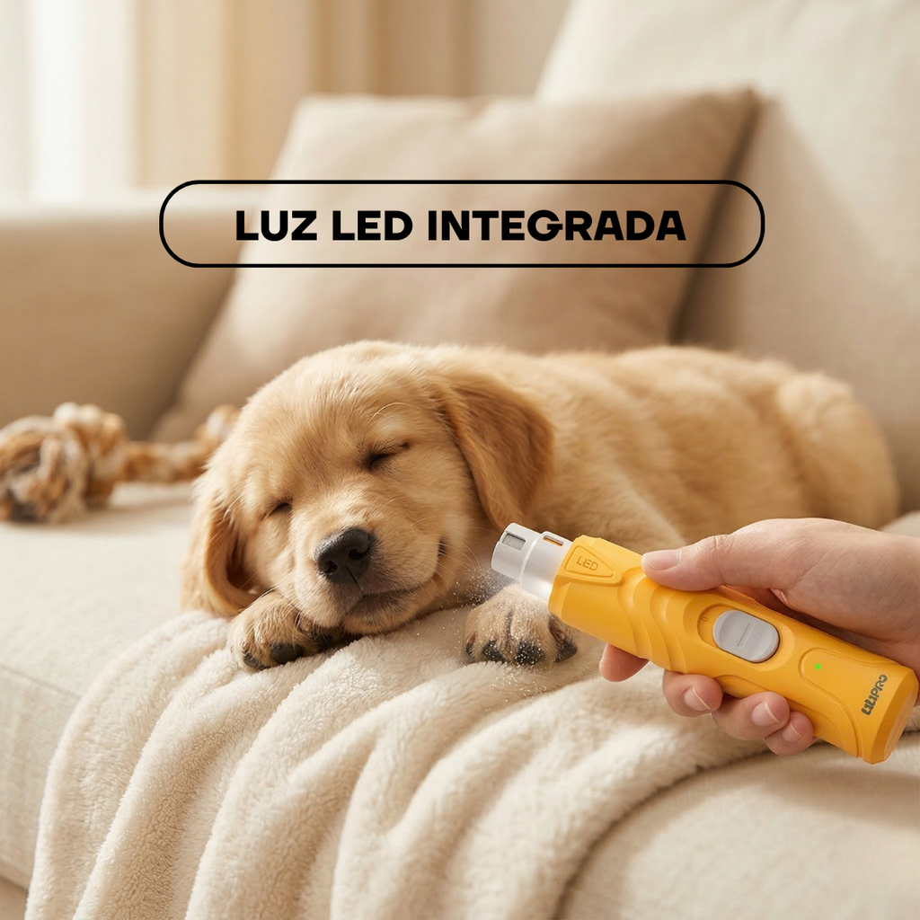 Cachorro golden recostado mientras le liman las uñas con la PG100 con luz LED