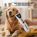 Golden retriever con la máquina PT306: apta para uso doméstico o semiprofesional