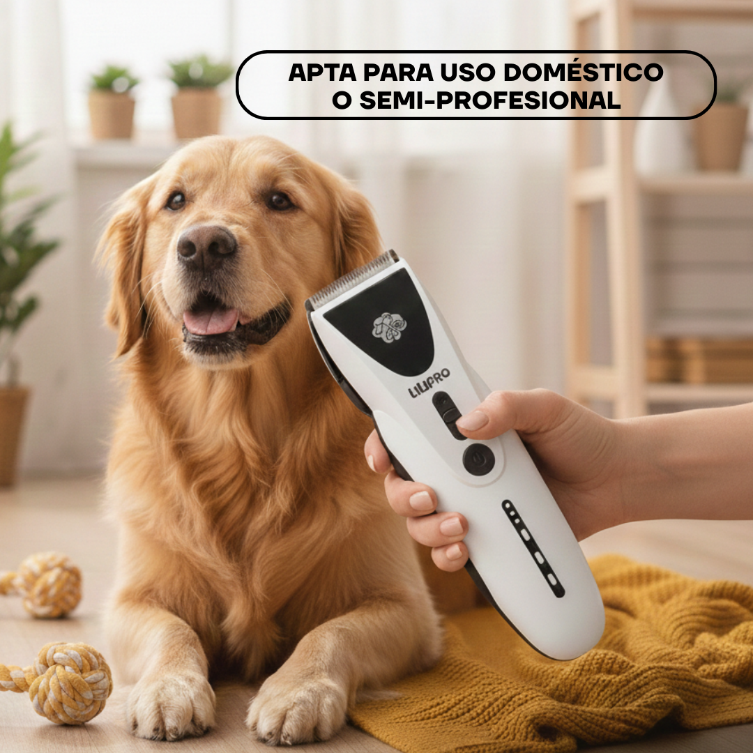 Golden retriever con la máquina PT306: apta para uso doméstico o semiprofesional