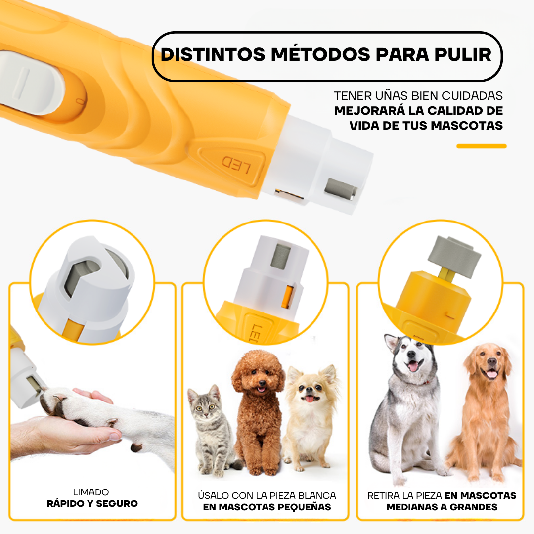 Tres cabezales de la lima PG100 para pulir uñas de mascotas pequeñas, medianas y grandes