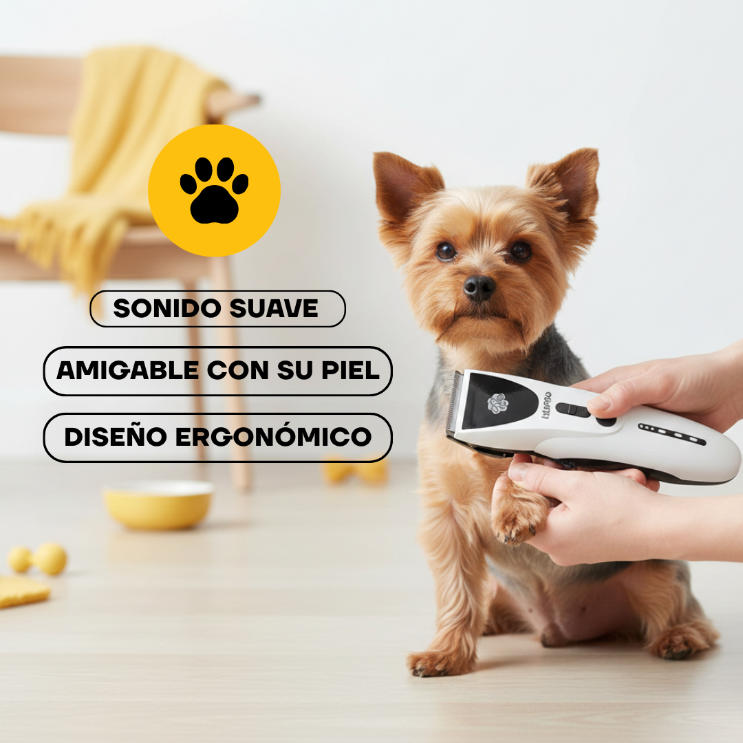 Recorte de pelo a un yorkshire con la PT306: diseño ergonómico y amigable con la piel