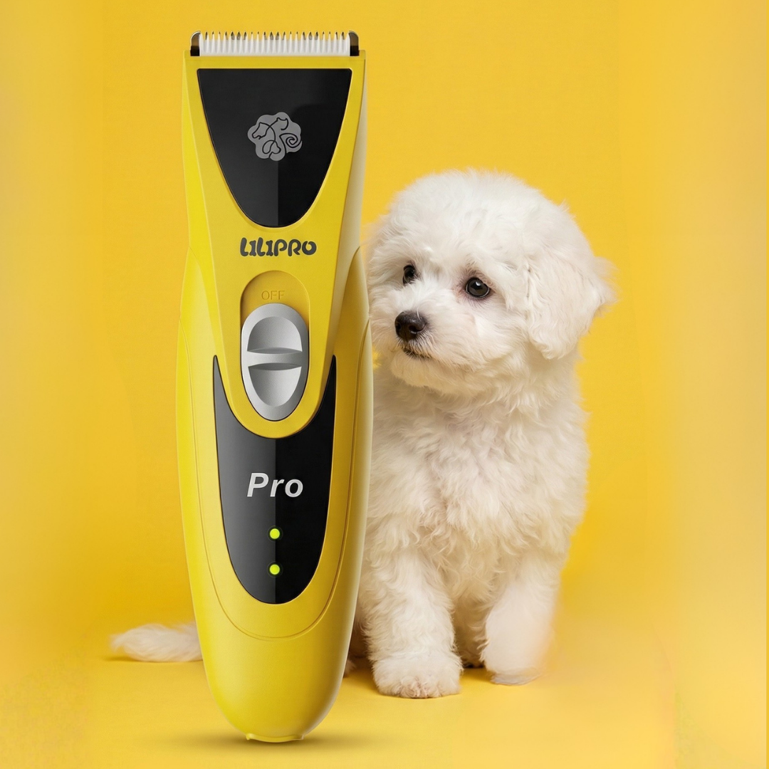 Perro bichón blanco junto a la máquina de cortar pelo PT305