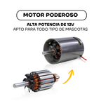 Motor de 12 V de la máquina de cortar pelo ZP-295, apto para todo tipo de mascotas