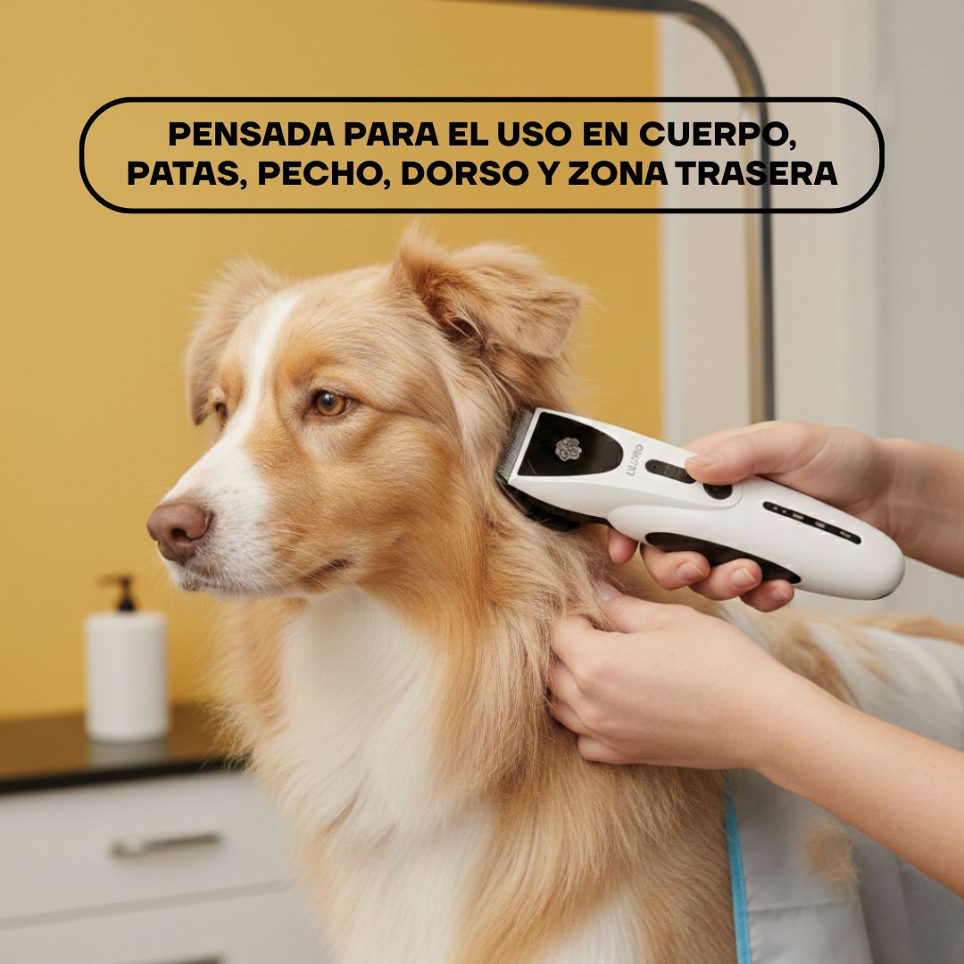 Corte de pelo a un perro con la PT306: para cuerpo, patas, pecho, dorso y zona trasera