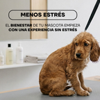 Cocker spaniel en mesa de peluquería canina: una experiencia sin estrés